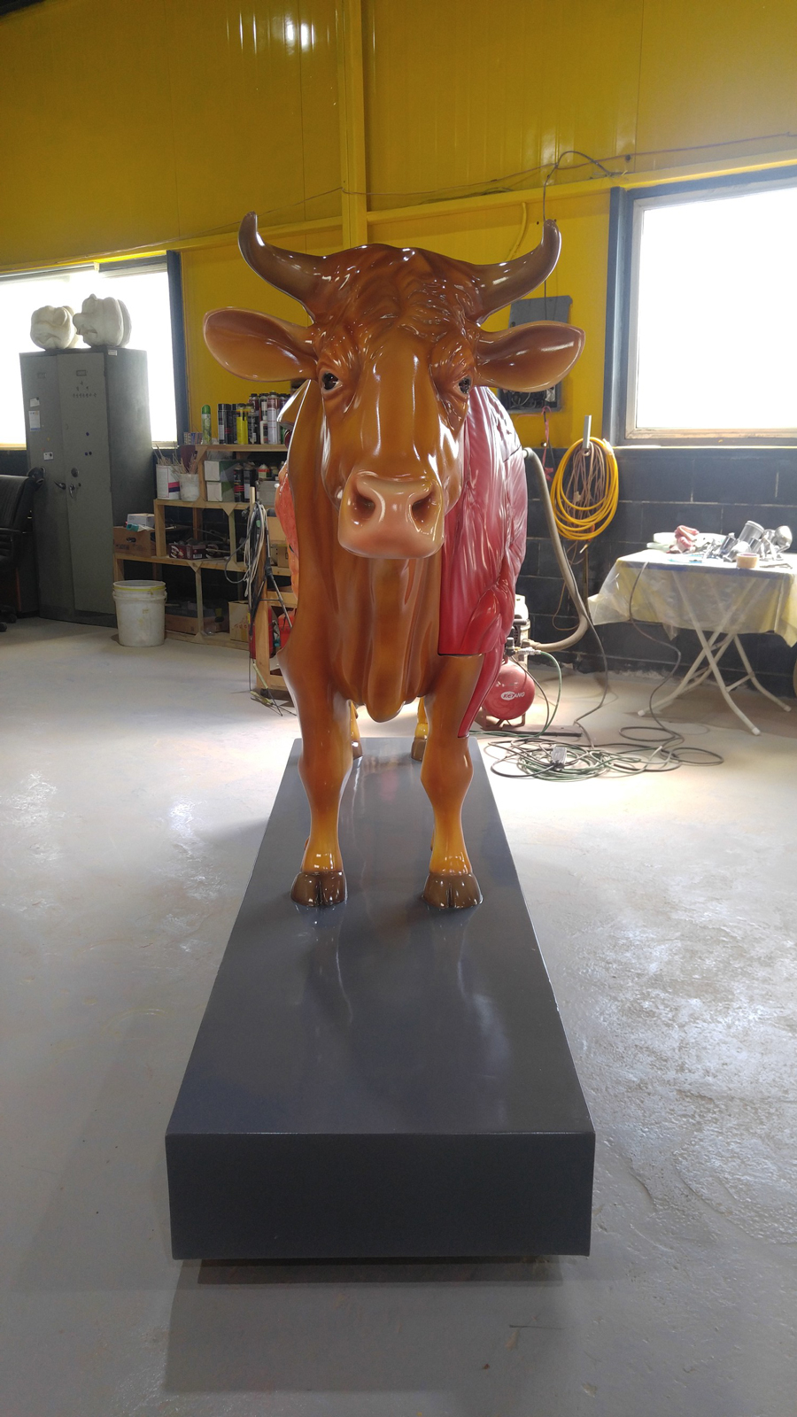 20190509_142253.jpg