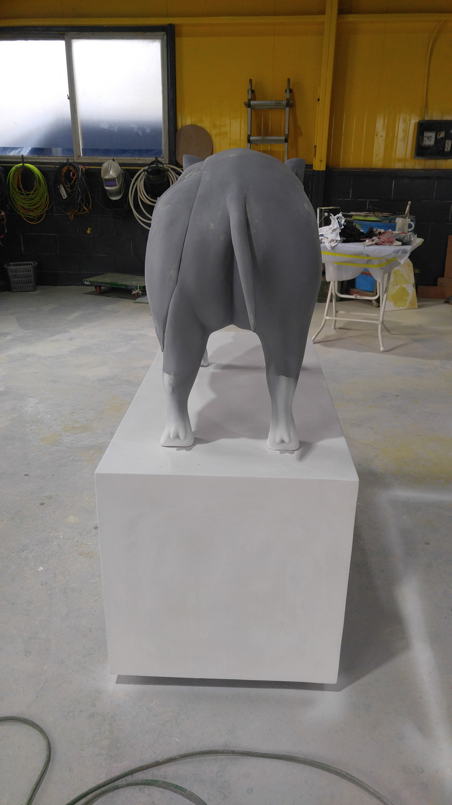 20190410_160234.jpg